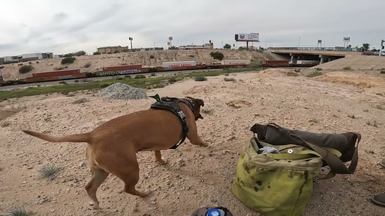 Were just Desert Creatures At This Point (Winter 2026)