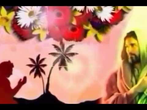 انا جيت سلمتك البى فاديا بزى اخراج عادل راجى