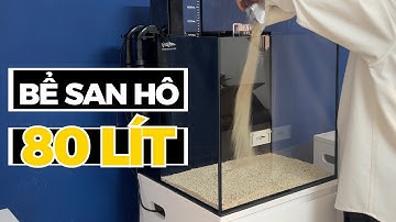 Setup Bể Cubic 45 Rinano Pro V3 Nuôi San Hô Và Cá Cảnh Biển | Rin Aquarium Team
