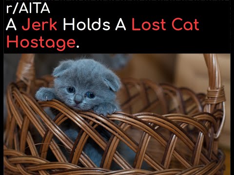 A Jerk Holds A Lost Cat Hostage. | r/AITA | Brian's Advice 17