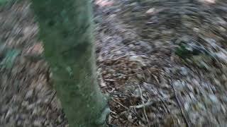 Exploder 4 Test!!