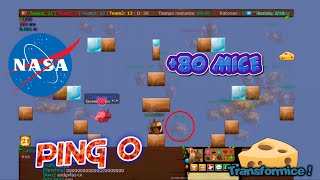 PING FIRST #6 (neteadas) TRANSFORMICE