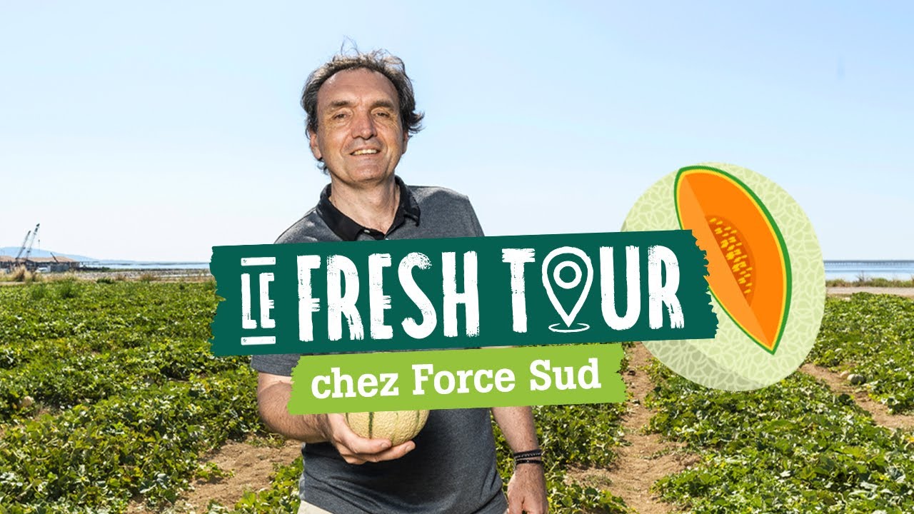 Le fresh. tour à la rencontre de nos producteurs de Melon ! YouTube