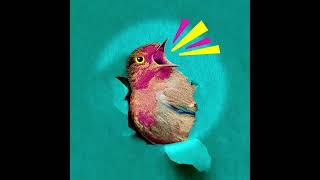 Download Lagu Julia Izumi's REGRETFULLY, SO THE BIRDS ARE is coming to Playwrights Horizons this March MP3 Download Lagu Julia Izumi's REGRETFULLY, SO THE BIRDS ARE is coming to Playwrights Horizons this March MP3