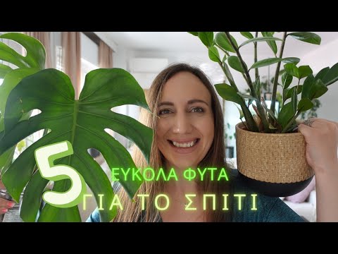 Βίντεο: Ποια φυτά είναι καλά για terrarium;