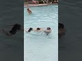 Summer canada shortsfunny pool