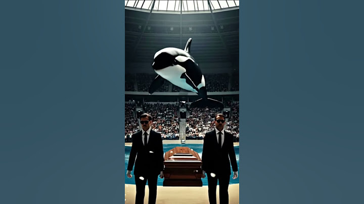 Sad News Jessica and dolphin. Jessica is no more #Jessica #orca #attack #JessicaRadcliffeOrca