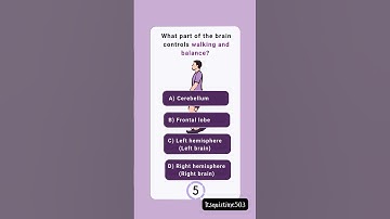 What part of the brain controls walking and balance? 🧠 #shortsfeed #funny #shortsvideo #foryou