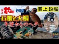 【海上釣堀】石鯛と大鯛を午後からのヘチで仕留める　辨屋初釣行