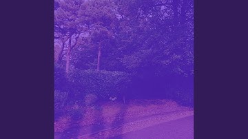 Alluring Backdrops for Quiet Sundays