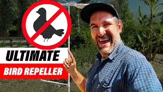 Eliminate Birds From Attacking Your Garden (Without Killing Them) | Bird Repellant Scare #BirdBozo