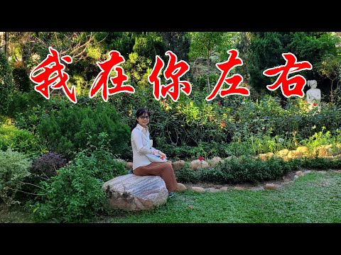 我在你左右~Sunny(姚蘇蓉版伴奏）