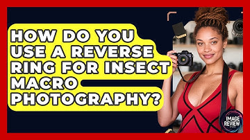 How Do You Use A Reverse Ring For Insect Macro Photography? - Image Review Studio