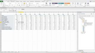 Celebrity Smart View -  Data Input Templates with Excel Net Worth