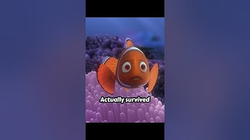 😨 The DARK Theory Of Finding Nemo