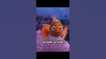 😨 The DARK Theory Of Finding Nemo