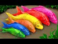 Cartoon crocodile pink snake and colorful eel  colorful baby fish  stop motion funny animation