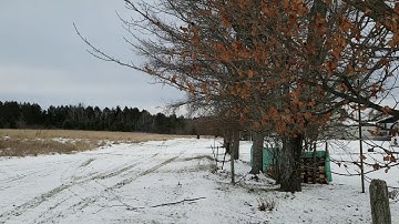 2016 Switchback Assault GGB Mountain Muffler