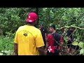 How we harvest sakau  pohnpei micronesia