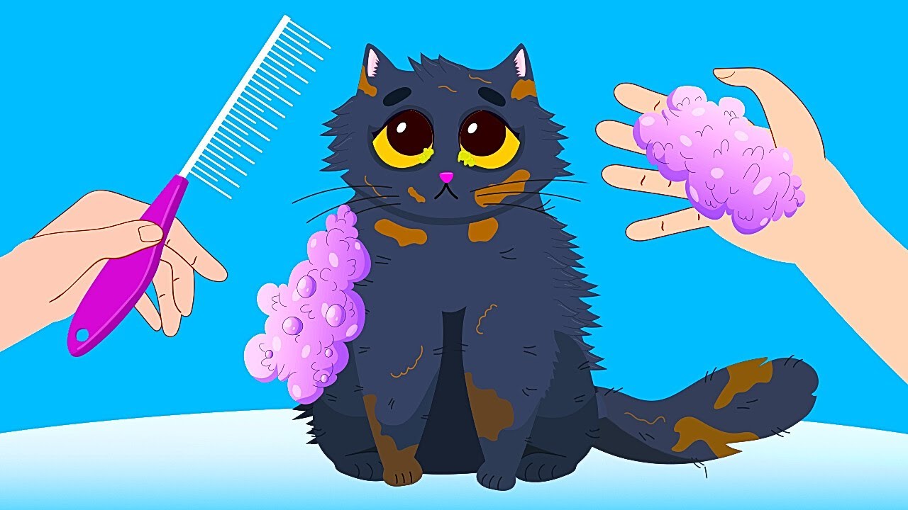 ASMR Street Cat Is Rescued And Takes a Shower