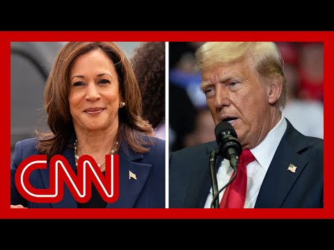 Trump campaign ?completely freaked out? by Harris candidacy, says former GOP strategist