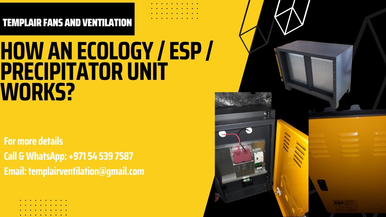Introduction Of An Ecology Unit YouTube Introduction Of An Ecology Unit YouTube