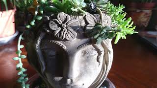 🧝‍♀️👑 Elf queen succulents stone planter composition 🌵 by UNIQUE LIFE DESIGN 44 views 3 months ago 7 minutes, 22 seconds