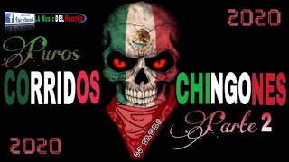 Puros Corridos Chingones🇲🇽☠️Parte 2☠️  | By DJ Tauro