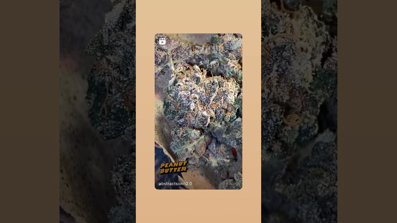 PEANUT BUTTER RUNTZ 🥜🍭🥜🍭🔥