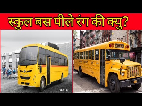 बस का रंग पीला क्यों होता हैं? Why school bus colour