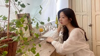 VLOG in JEONJU 전주 브이로그, 한옥숙소, 맛집투어, 길냥이 츄르, 빵집투어, 푸라닭, 셍이