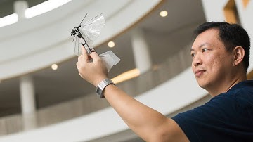 Meet our flapping wing drones