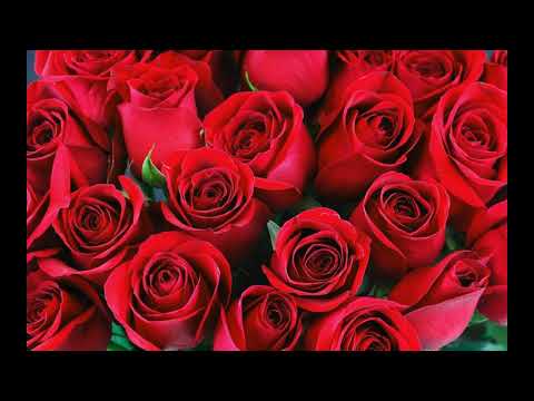 С годовщиной 2025г сл Тузов Игорь