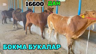 Арзон Жойидан Кидирганларга