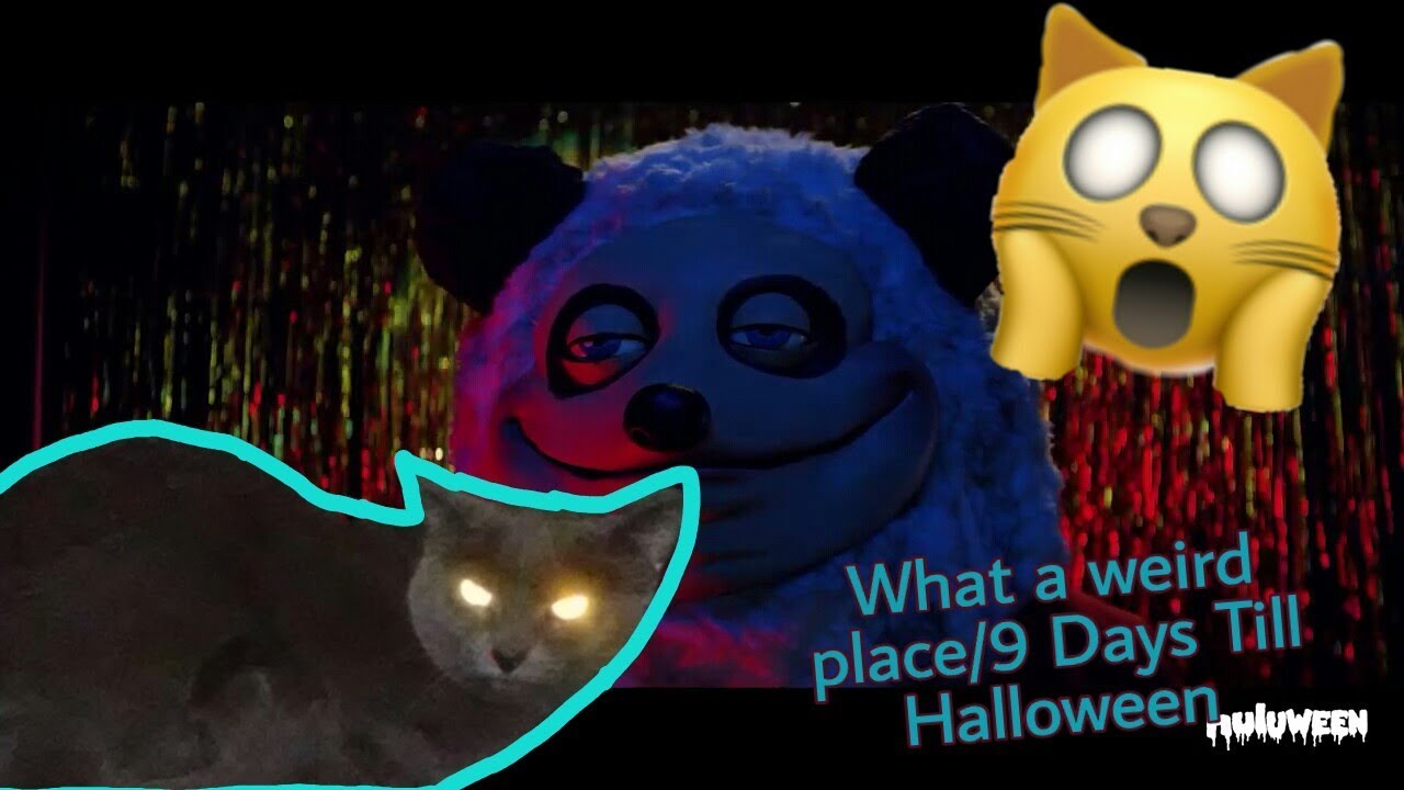 Cat Reacts To Huluween-The Hug 