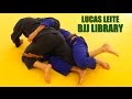 Lucas Leite - Half Guard Sweep to Back Take - BJJ Library