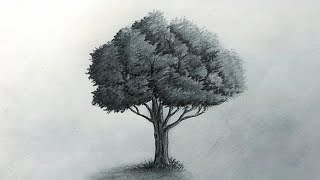 How to Draw Realistic Trees: Pencil Sketch Tutorial