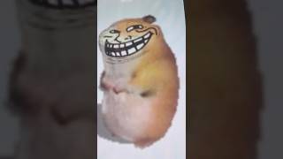 Family Chomikuj Pl Gets Revenge Meadowfox