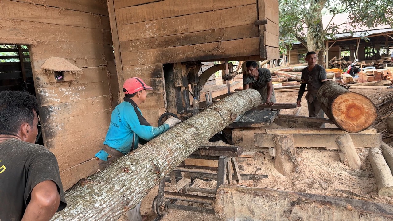 2x20 Wood Cutting Technique with Sawmill Machine - YouTube