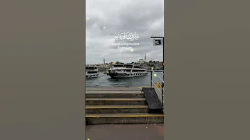 ربنا هب لنا من أزواجنا وذرياتنا قرة أعين حالات واتس قرآن حالات صوط جميل جداا Shorts 