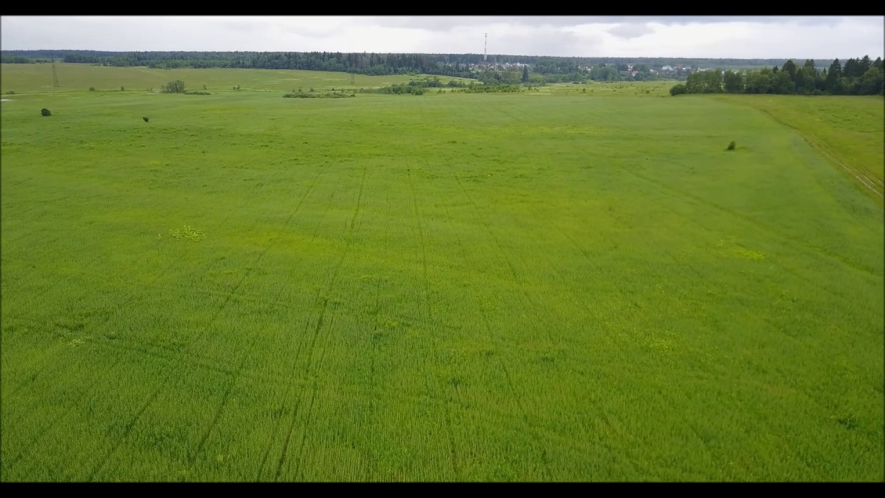 плбсы плбсы