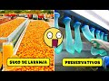 COMO SÃO FEITAS ESSAS COISAS QUE CONSUMIMOS DIARIAMENTE? #3