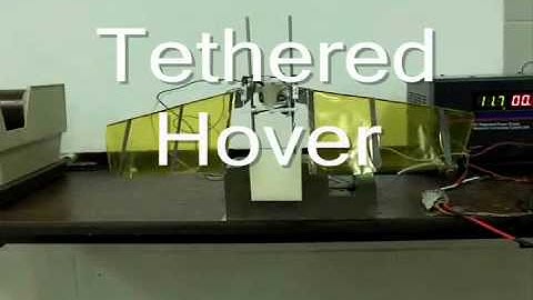 Flapping Wing Micro Air Vehicle (MAV) -- Moble Benedict