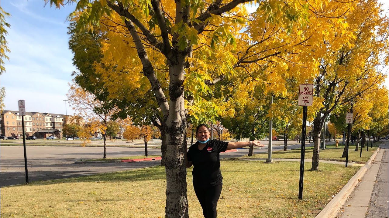 Fall start in grand forks USA