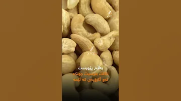 ئایا خواردنی گازۆ جەستە توشی ژەهراویبون دەکات 