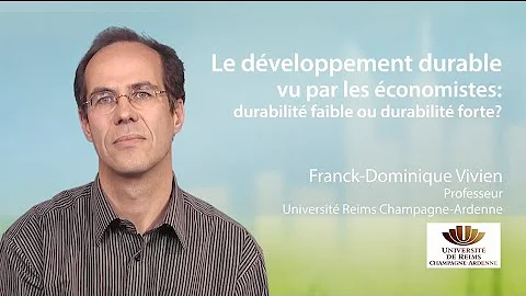Sustainable development as seen by economists: weak sustainability or strong sustainability ?