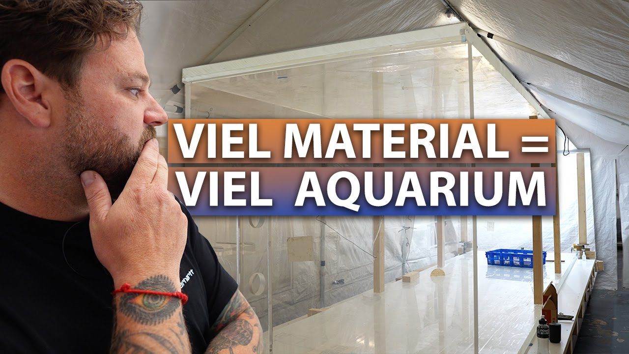 Weiter geht's! - Wann ist das 5 METER AQUARIUM fertig?