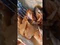 🌮Mexico's BEST Carnitas is in this tiny town in Michoacán #shorts #foodshorts