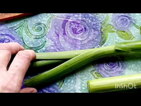 лук порей в заморозку.