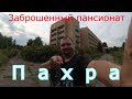 Заброшенный дом отдыха Пахра